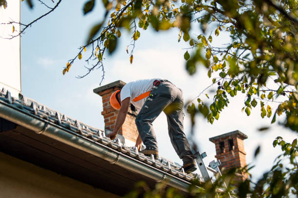 Best Flat Roofing  in Trumansburg, NY